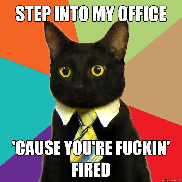 cat-fired.jpg